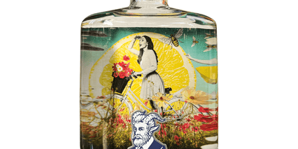 Billy Stitch Distillery Summer Gin 750mL - Liquorworld