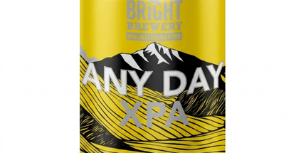 Bright Brewery Anyday Light XPA Beer 355ml (4 Pack)