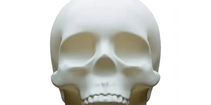 Crystal Head Bone Limited Edition Ceramic Skull Decanter Vodka + Skull Shot Glass 700mL - Liquorworld