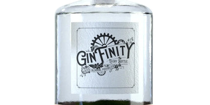 GinFinity Lime Light 500ml - Liquorworld