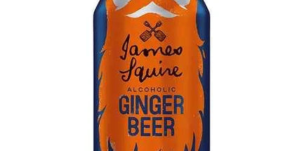 ?James Squire Alcoholic Ginger Beer cans 330ml 4% 6 pack
