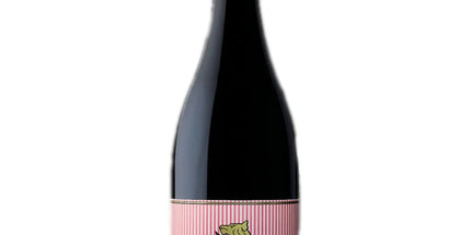 Lienert Vineyards Shiraz 750ml - Liquorworld