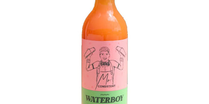Mr Consistent Waterboy Mix 750ml - Liquorworld