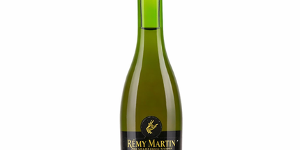 Remy Martin VSOP Cognac Fine Champagne Glass Miniature 50mL