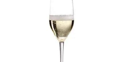 Riedel Glassware Overture Champagne Glass 480/08 290ml