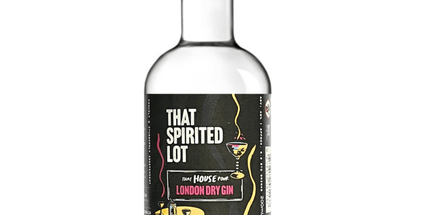 That Spirited Lot That House Pour Gin 200ml - Liquorworld