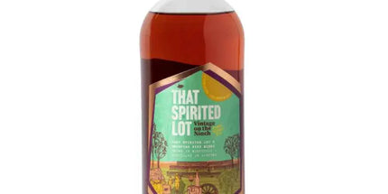 That Spirited Lot Vintage On The Ninch 2024 Gin 700ml