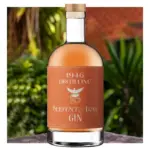 1946-Distilling-Blood-Orange-And-Pomegranate-Gin-700ml.webp
