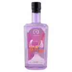 Anther Ms Gina Gin 700ml