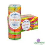 Billson's Fruit Tangle & Vodka 6 x 4 Pack 355mL Cans