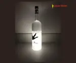 Grey-Goose-Night-Vision-Luminaire-1-1.webp