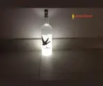 Grey-Goose-Night-Vision-Luminaire-1-1.webp