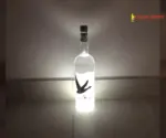 Grey-Goose-Night-Vision-Luminaire-1-1.webp
