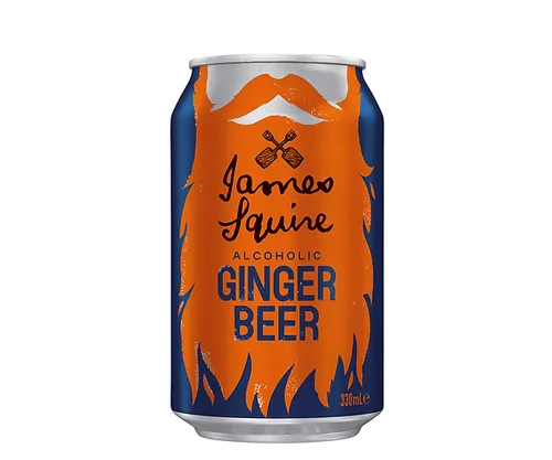 James-Squire-Alcoholic-Ginger-Beer-cans-330ml-1.webp