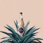 Mundo-Tequila-700ml.webp