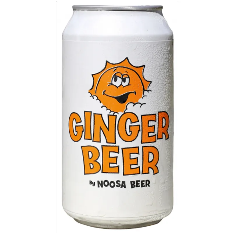 Noosa-Beer-Co-Noosa-Ginger-Beer-375ml-16-Pack-1.webp