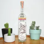 Rey-Campero-Madrecuishe-Mezcal-700ml-Copy.webp