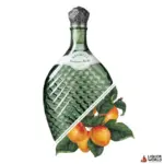Rochelt Wachau Apricot Vintage 2016 350ml
