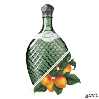 Rochelt Wachau Apricot Vintage 2016 350ml