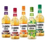 Zoladkowa-Gorzka-Mint-Vodka-500ml-1.webp